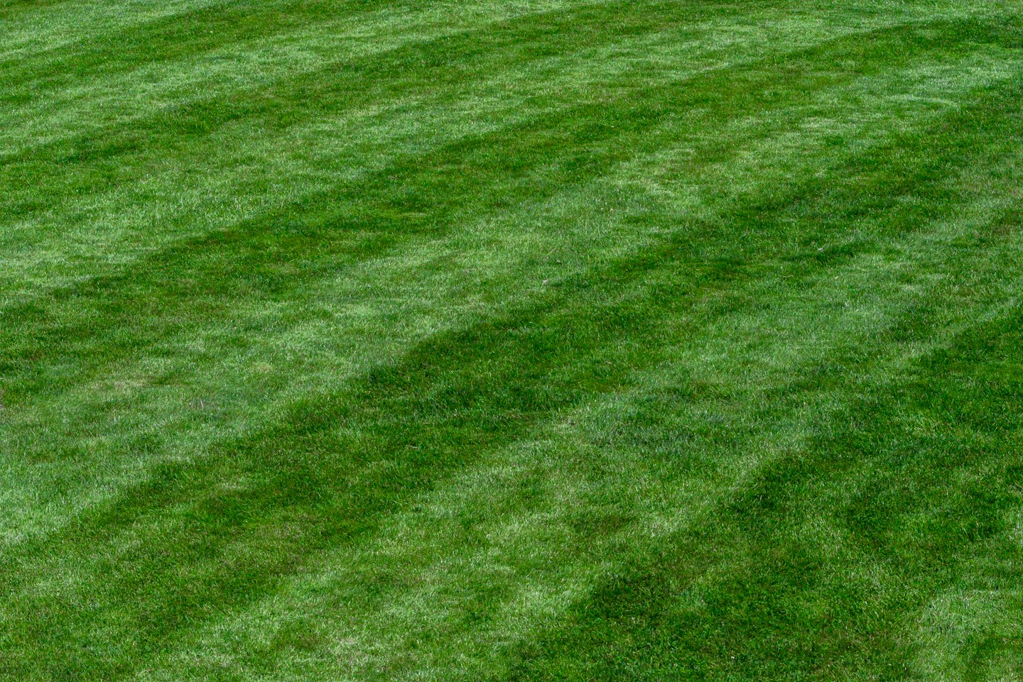 Green lawn with alternating diagonal stripes from mowing.