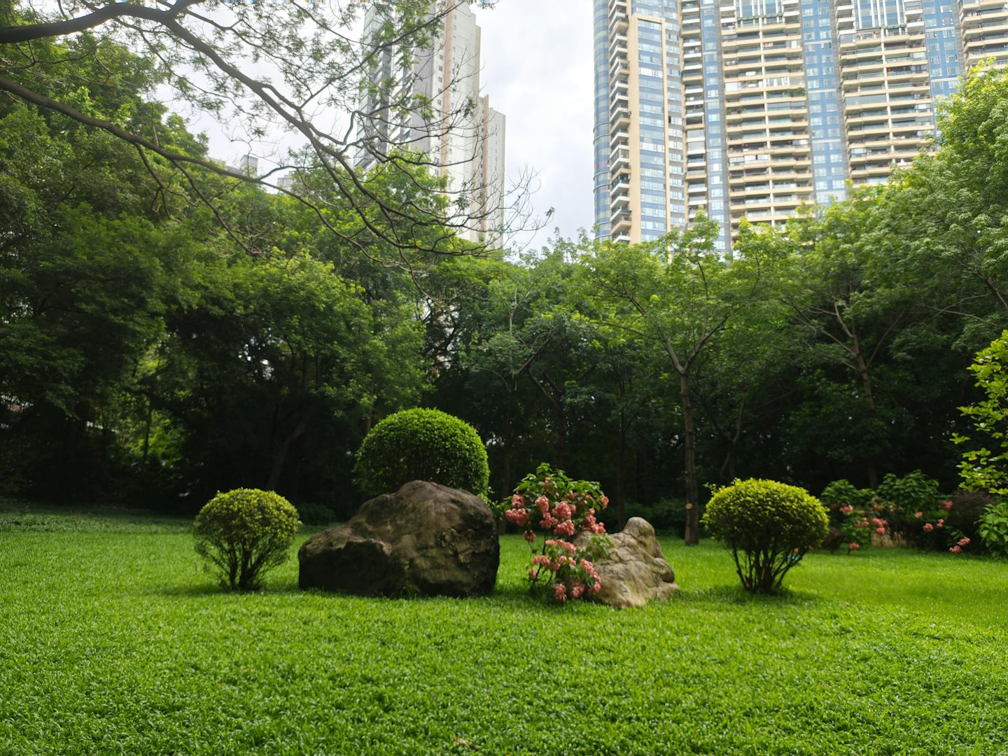 Landscaped park with shrubs and trees near tall city buildings.