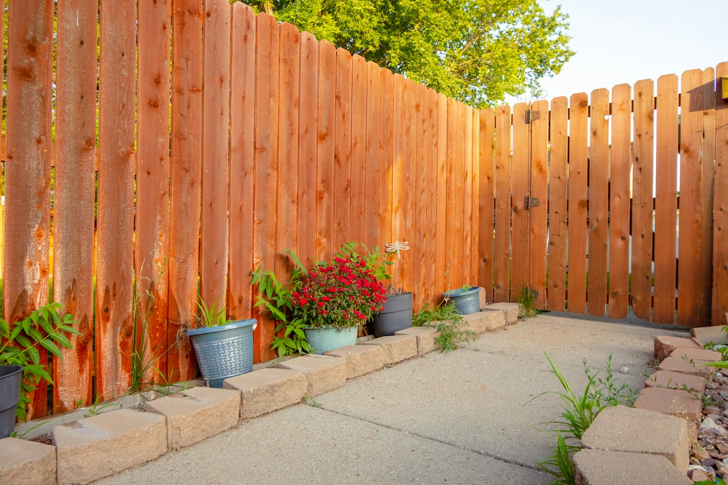 Potted plants line a wooden fence in a residential backyard.
