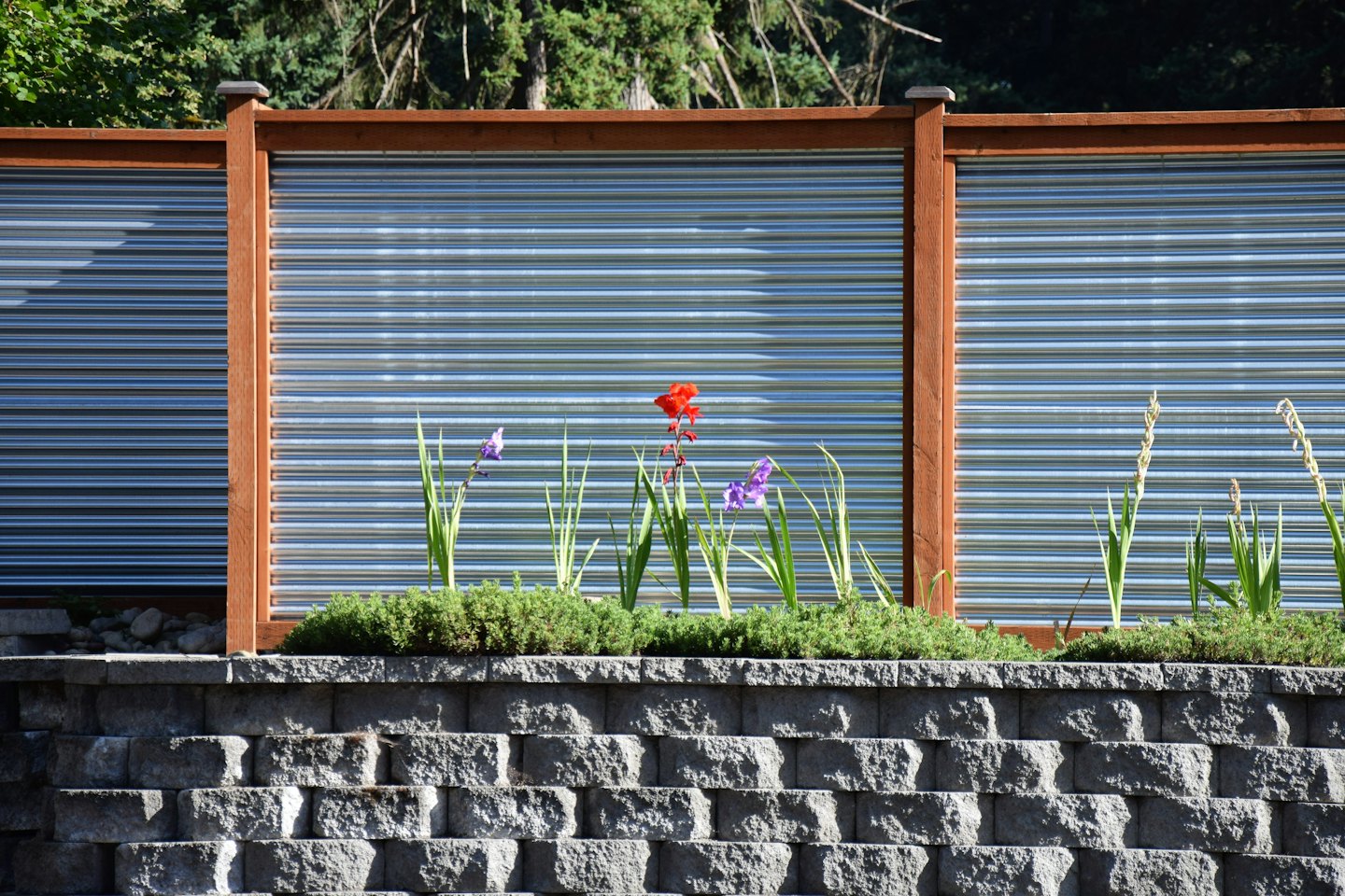 Corrugated metal and wooden fence above a garden retaining wall.